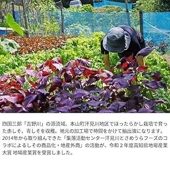 Amazon.co.jp: さめうらフーズ すっきりさわやかしそごこち希釈